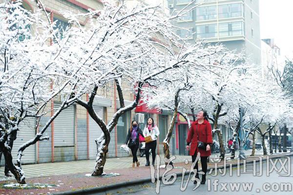 銀裝素裹好景色:臨汾市出現(xiàn)今冬首場降雪