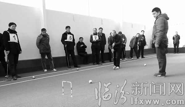 浮山首個(gè)室內(nèi)門球館正式開館