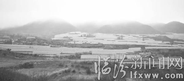 古縣北平人拜年有“新意”敲鑼打鼓組團(tuán)串門