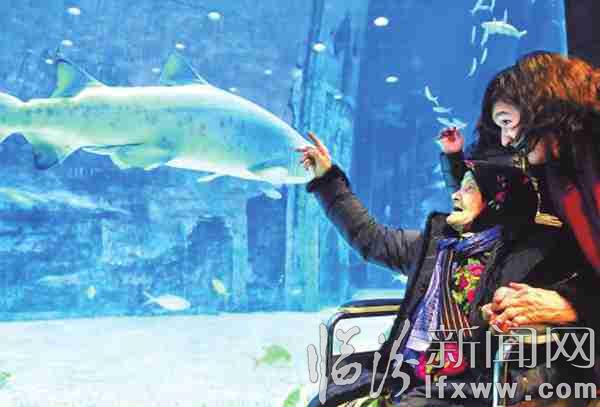 女兒陪母親賞魚,快樂又溫馨。