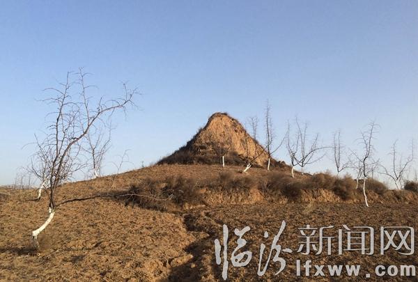 手機(jī)照片 006.jpg