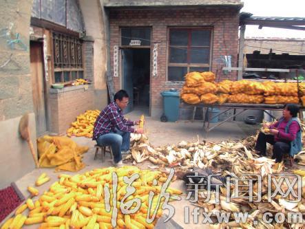 從辦公室到田間地頭 臨汾662個第一書記風采錄