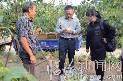 從辦公室到田間地頭 臨汾662個第一書記風采錄