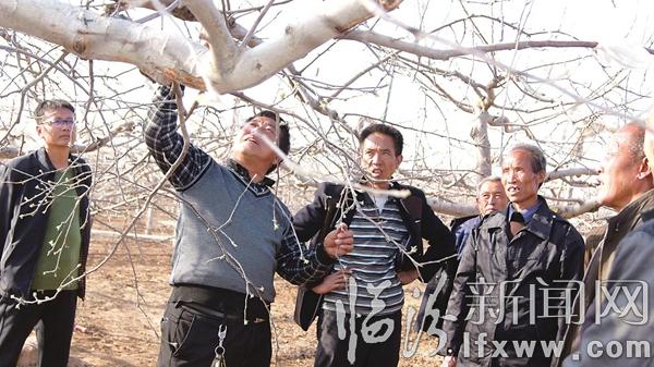 大寧65名村民赴全國(guó)優(yōu)質(zhì)蘋(píng)果產(chǎn)區(qū)學(xué)習(xí)先進(jìn)技術(shù)