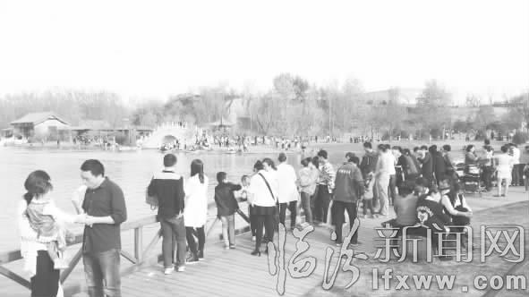 臨汾澇洰河公園醉游人 郁金香海美不勝收