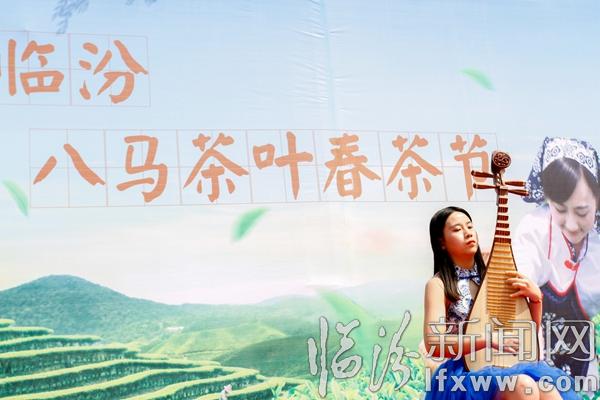 臨汾:八馬茶業舉辦春茶節活動