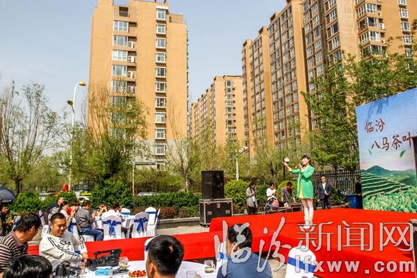臨汾:八馬茶業舉辦春茶節活動