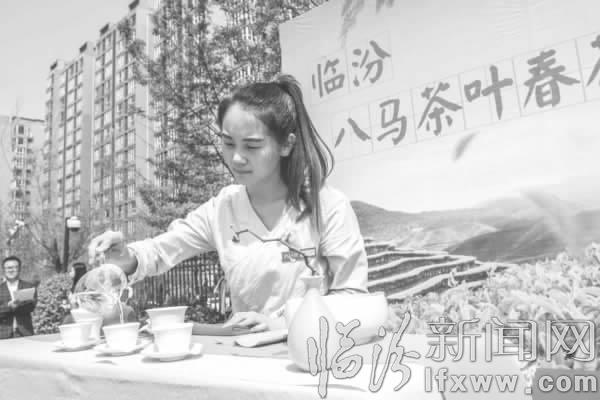品春茶傳技巧 臨汾八馬舉辦春茶節活動
