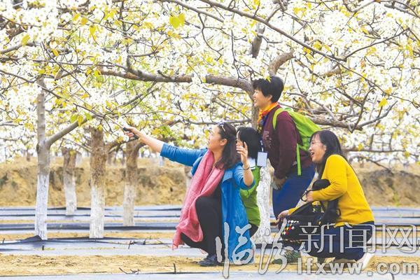 香雪海·游人醉