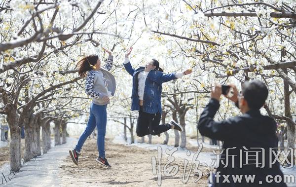 香雪海·游人醉