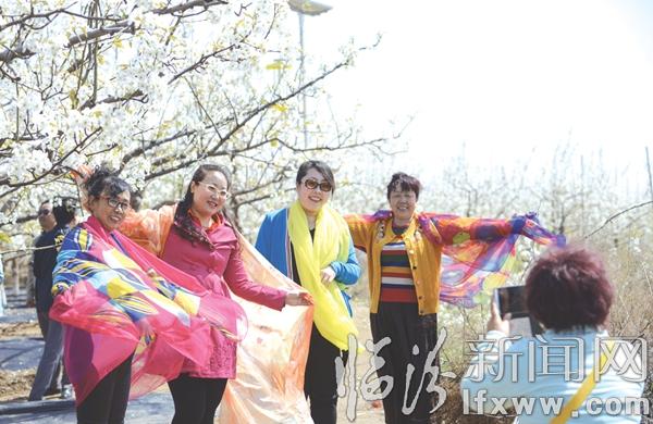 香雪海·游人醉