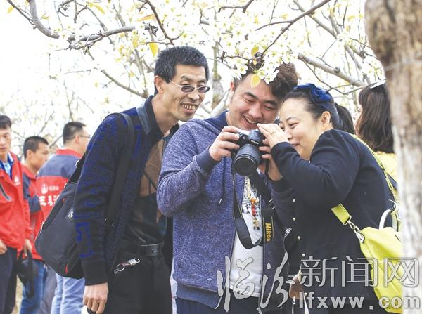 香雪海·游人醉