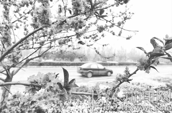 四月花香漫溢 “醉”美多彩臨汾