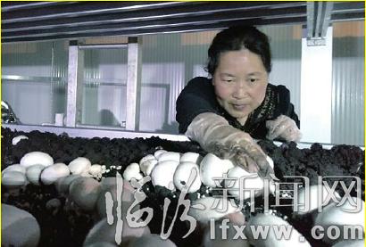 臨汾:向勞動者致敬 為平凡中的不平凡點贊