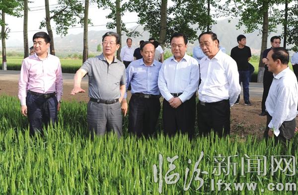 省檢查組摸底臨汾“一法一條例”情況