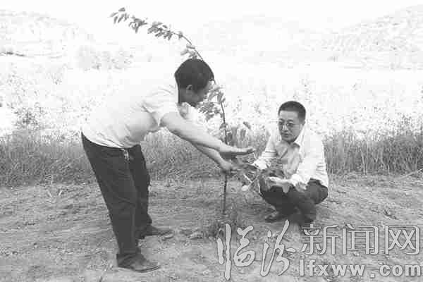 “第一書記”深入田間地頭