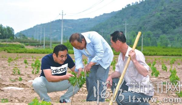 大寧岳耀增:情系百姓辦實(shí)事