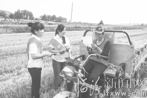 臨汾:舞好信息“指揮棒” 服務麥收“粒歸倉”
