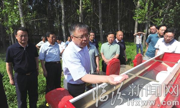 岳普煜:推動(dòng)“三夏”工作確保豐產(chǎn)豐收