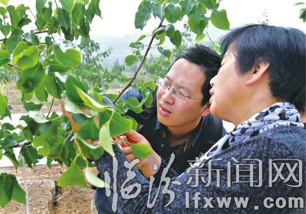 汾西王偉:“駐村工作不是做官而是做事”