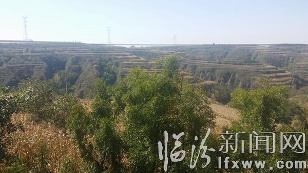 【散文】認知駝腰