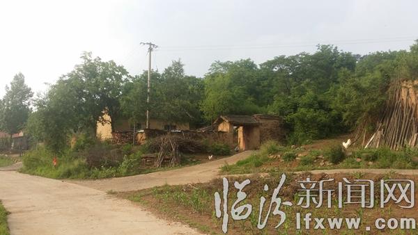 【散文】認知駝腰