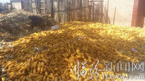 【散文】認知駝腰