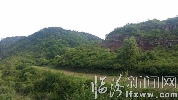 【散文】認知駝腰