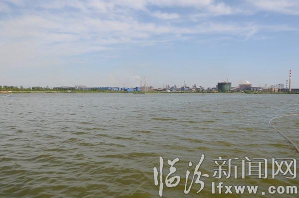 曲沃:看見申園 印象申園