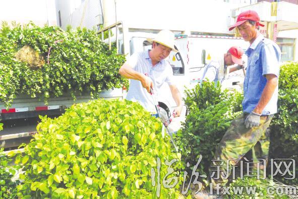 臨汾:揮汗如雨 堅守崗位灑心血