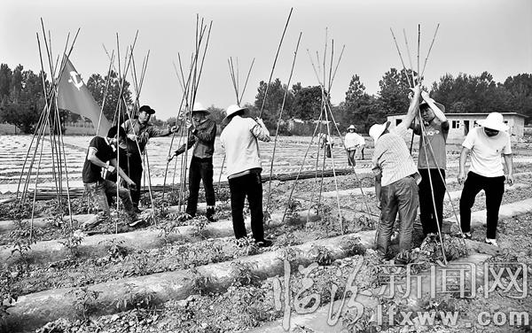 堯都區(qū):履行黨員義務(wù) 爭(zhēng)當(dāng)合格黨員