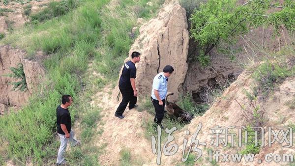 臨汾市公安局嚴厲打擊涉爆涉槍違法犯罪活動