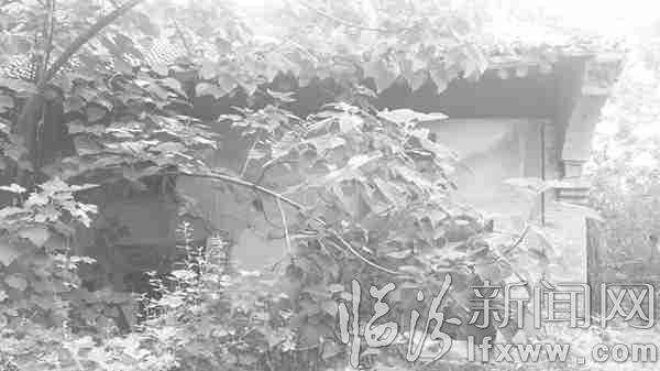 段店村的古民居