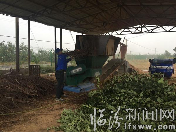 引進機器 將樹枝粉碎中