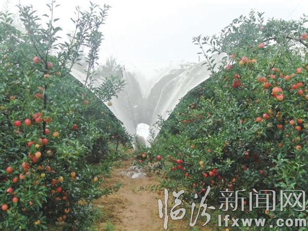 防雹網(wǎng)工程為民解憂
