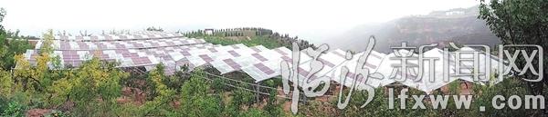 光伏紅棗大棚全國首家