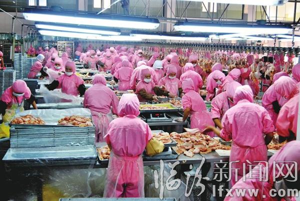 龍頭產(chǎn)業(yè)規(guī)模化