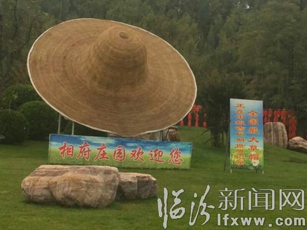 5、相府莊園內“最大草帽”正在申辦吉尼斯世界紀錄.jpg