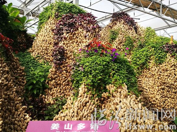 晉善晉美 魅力澤州 ——全國(guó)28家“三農(nóng)”媒體山西采風(fēng)澤州篇