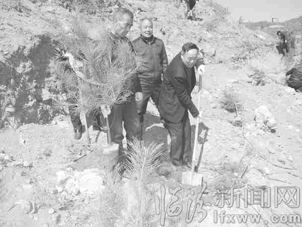 徐靖華(右一)帶領村民在荒山上植樹造林