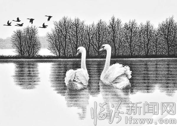 浮山90后男孩劉凱鋼筆畫天鵝之愛登上央視新聞