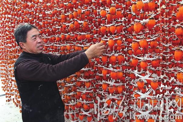 曲沃能人王玉成:看看我家的柿餅誘人不!