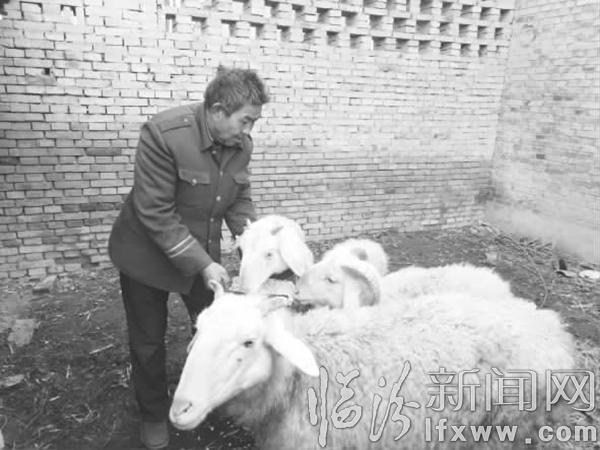 曲沃:變“輸血”為“造血” 志愿幫扶有起色