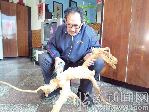 蒲縣何雙保:我要用靈感讓朽木復活人間