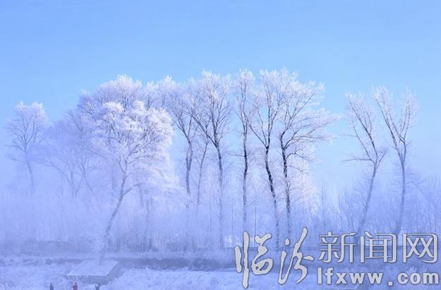 本網(wǎng)記者走進(jìn)東北,用鏡頭發(fā)現(xiàn)別樣的美!