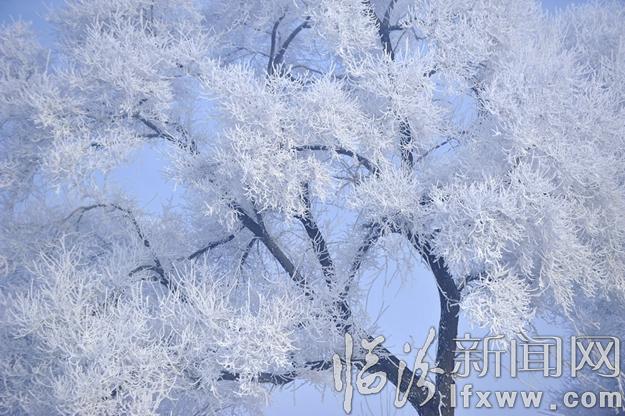 本網(wǎng)記者走進(jìn)東北,用鏡頭發(fā)現(xiàn)別樣的美!