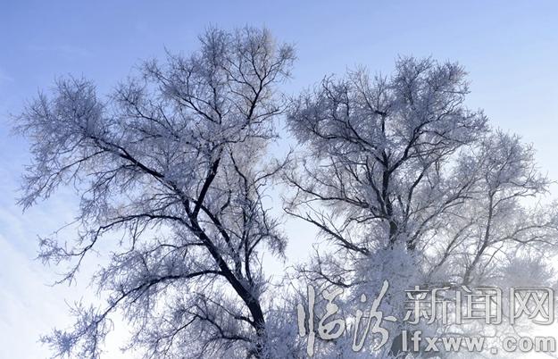 本網(wǎng)記者走進(jìn)東北,用鏡頭發(fā)現(xiàn)別樣的美!