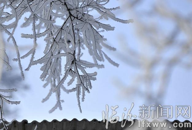 本網(wǎng)記者走進(jìn)東北,用鏡頭發(fā)現(xiàn)別樣的美!