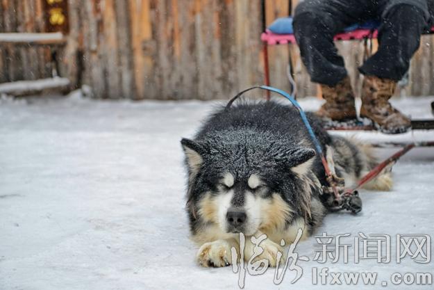 本網(wǎng)記者走進(jìn)東北,用鏡頭發(fā)現(xiàn)別樣的美!