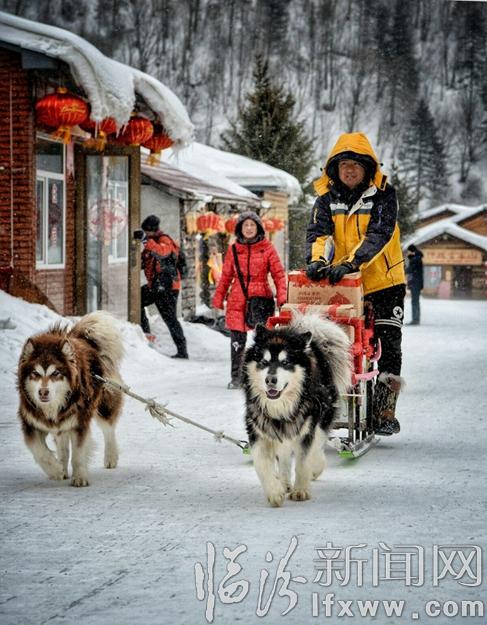 本網(wǎng)記者走進(jìn)東北,用鏡頭發(fā)現(xiàn)別樣的美!